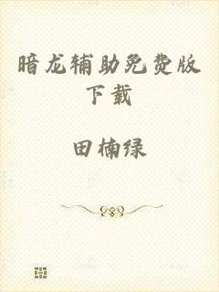 暗龙辅助免费版下载