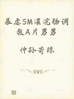 暴虐SM灌浣肠调教A片男男
