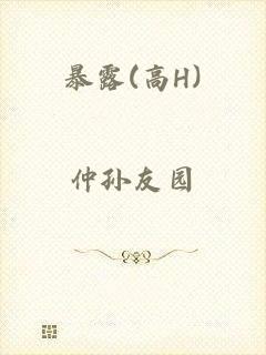暴露(高H)