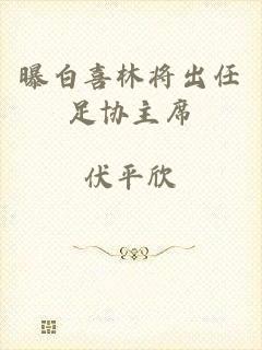 曝白喜林将出任足协主席