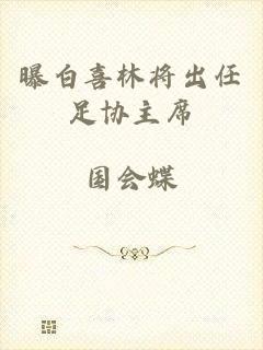 曝白喜林将出任足协主席