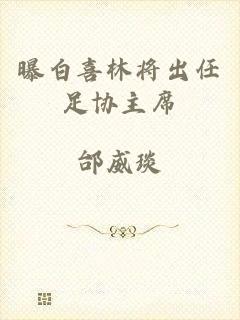 曝白喜林将出任足协主席