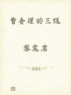 曹查理的三级