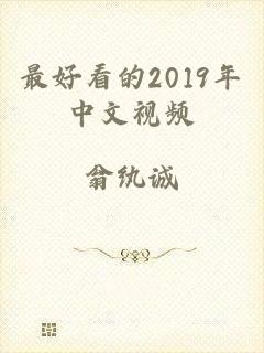 最好看的2019年中文视频