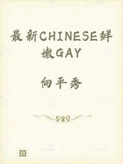 最新CHINESE鲜嫩GAY