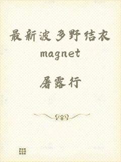 最新波多野结衣magnet