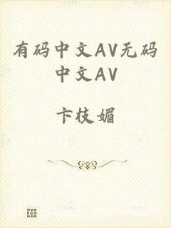 有码中文AV无码中文AV