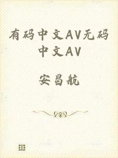 有码中文AV无码中文AV