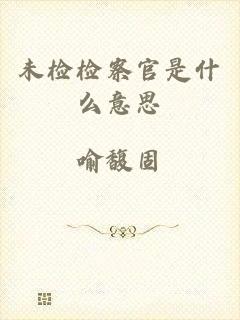 未检检察官是什么意思