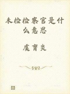 未检检察官是什么意思