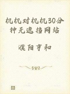 机机对机机30分钟无遮挡网站