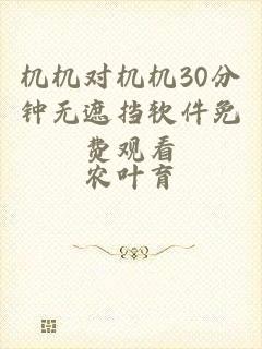 机机对机机30分钟无遮挡软件免费观看