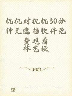 机机对机机30分钟无遮挡软件免费观看