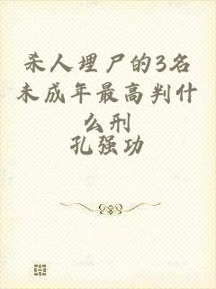 杀人埋尸的3名未成年最高判什么刑