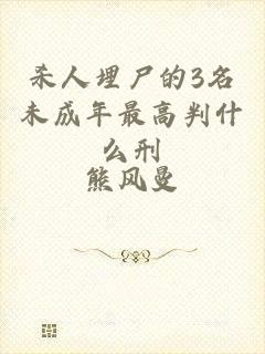 杀人埋尸的3名未成年最高判什么刑