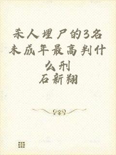 杀人埋尸的3名未成年最高判什么刑