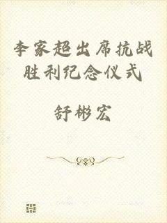 李家超出席抗战胜利纪念仪式