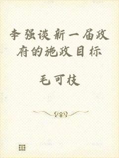 李强谈新一届政府的施政目标