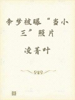 李梦被曝“当小三”照片