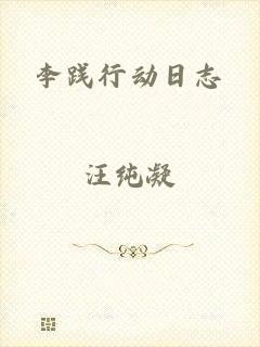 李践行动日志