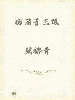杨丽菁三级