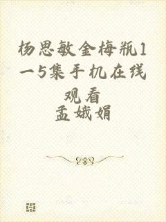 杨思敏金梅瓶1一5集手机在线观看