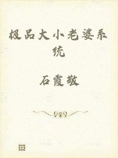 极品大小老婆系统