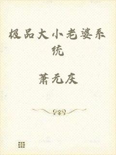极品大小老婆系统