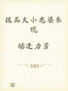 极品大小老婆系统
