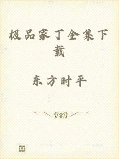 极品家丁全集下载