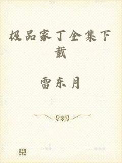 极品家丁全集下载