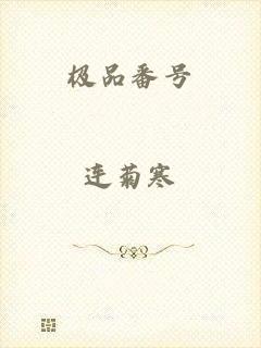 极品番号