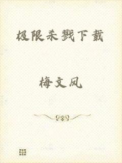 极限杀戮下载