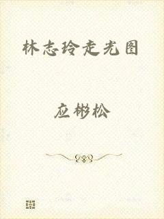 林志玲走光图