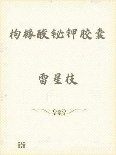 枸橼酸铋钾胶囊