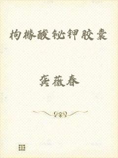 枸橼酸铋钾胶囊