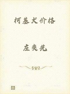 柯基犬价格