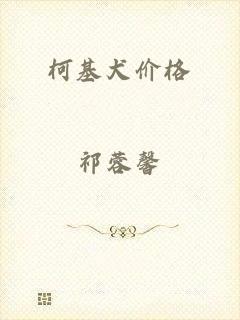 柯基犬价格