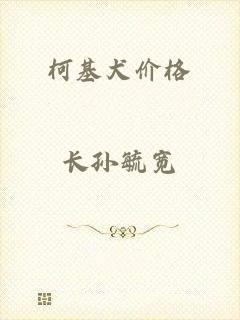 柯基犬价格