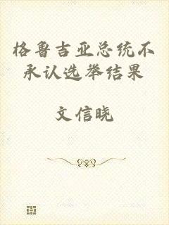 格鲁吉亚总统不承认选举结果