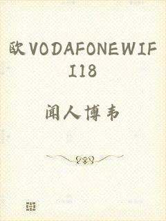 欧VODAFONEWIFI18