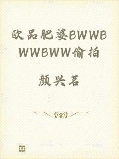 欧品肥婆BWWBWWBWW偷拍