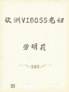 欧洲VIBOSS老妇