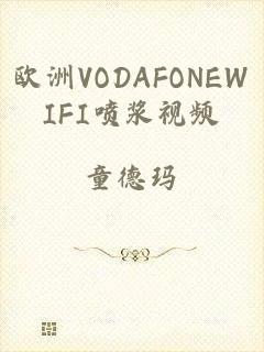 欧洲VODAFONEWIFI喷浆视频