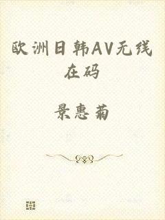 欧洲日韩AV无线在码
