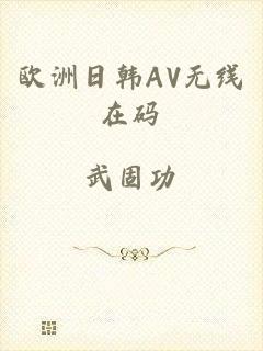 欧洲日韩AV无线在码