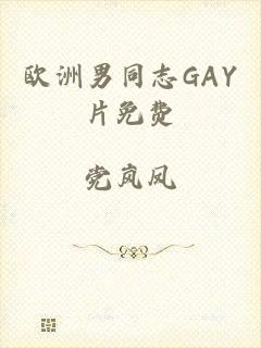 欧洲男同志GAY片免费