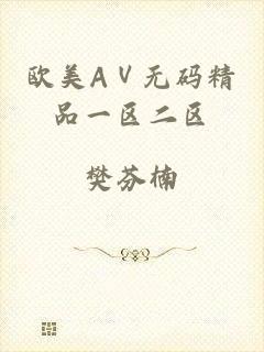 欧美AⅤ无码精品一区二区