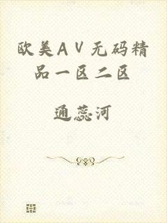 欧美AⅤ无码精品一区二区