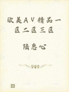 欧美AⅤ精品一区二区三区